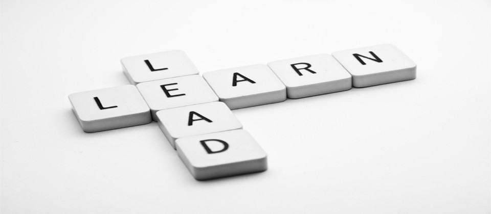 Leadership Development Leadership Development